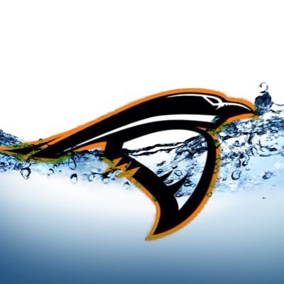 Ravens_SwimDive's profile picture. Don’t miss out on the latest and greatest from Anderson University Swimming & Diving! 🏊‍♀️🏊🏻‍♂️
