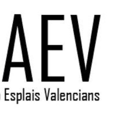 Perfil oficial de l'Associació Valenciana d'Esplais (AEV). Xarxa de grups d'esplai que treballen x canviar el món amb l'educació al lleure infantil des de 2007