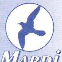 MARPI178 (@dbm178) 's Twitter Profile