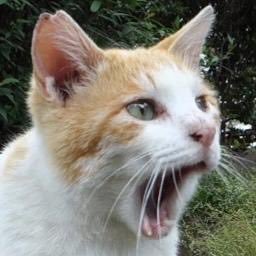 postkameda's profile picture. 170せんち