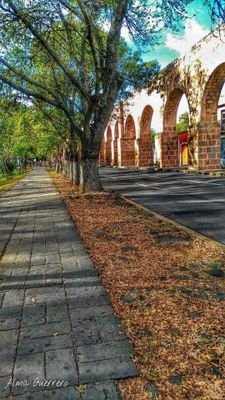 AndayaPrieto's profile picture. Nací bajo de una higuera en 1961 hijo de padres campesinos ;de profesión médico cirujano y partero certificado por la Academia Nacional de Medicina y la UNAM