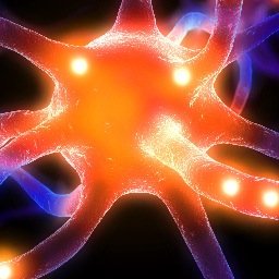 Paths_to_One's profile picture. 