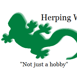 Herping is a hobby for some but a lifestyle for others. We want to bring you info and encourage others to give their insights and share their adventures.