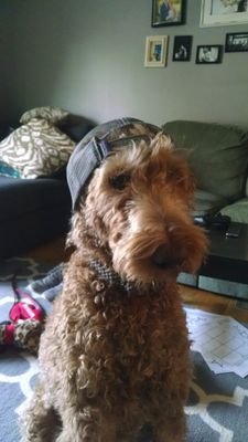 mike_vittorio's profile picture. 