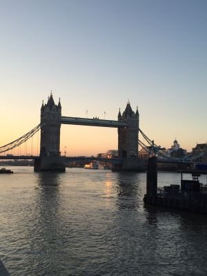 spoj74's profile picture. 