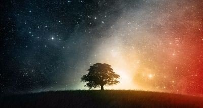 maria_no99's profile picture. 