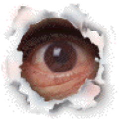 17Eyeball's profile picture. 