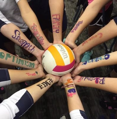 York Duke Volleyball Profile