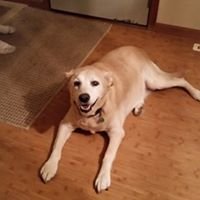 EthanRoble's profile picture. 