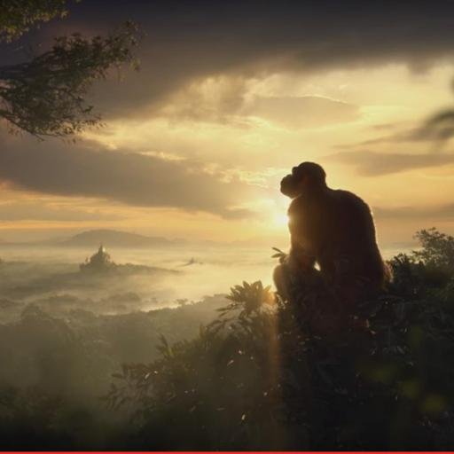 BonobianMonster's profile picture. under rated over rater