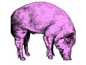 Shawn Millard - @ChefMillard - Twitter