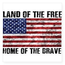 land of the free home of the brave puns land of the free home of the brave puns