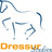 DressurStudien's profile image