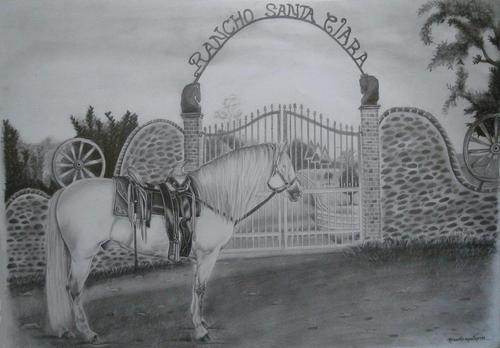 santaclararanch's profile picture. 