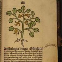Cambridge Early Modernists(@EModCam) 's Twitter Profile Photo