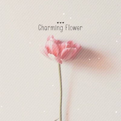 codingflow's profile picture. 