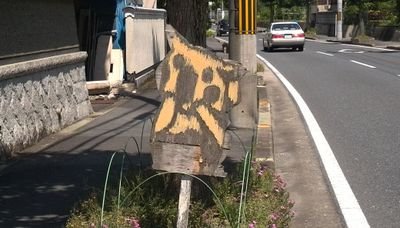 土口木寸(ねこ)さんのプロフィール画像