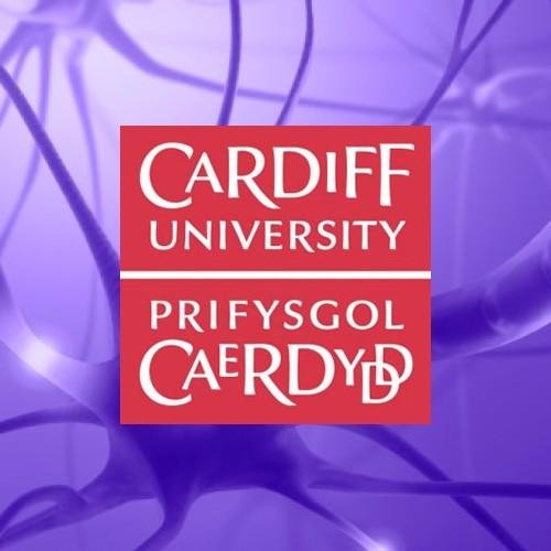 Neuroscience & Mental Health Innovation Institute at Cardiff University.
Sign up to our newsletter - https://t.co/eLFl1i3eFA