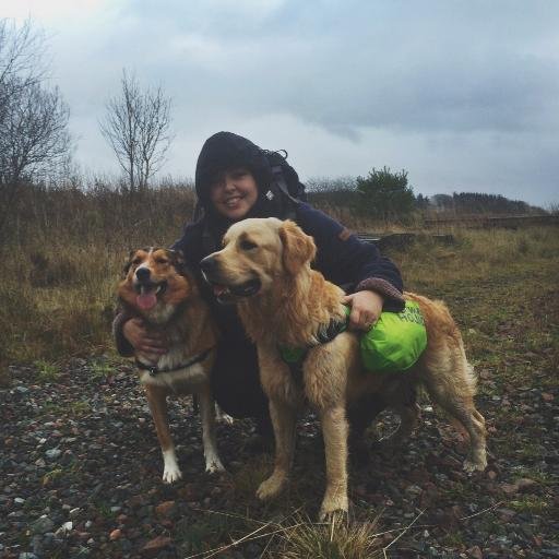 rocolcomps's profile picture. Happy go lucky! :D