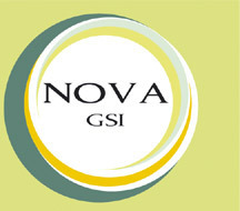 Nova Geophysical Services (NOVA) is a professional Geophysical firm offering services in Environmental, Structural & Geotechnical Eng and Surveying Services.