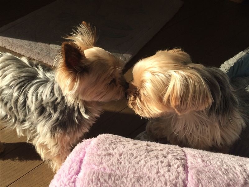 369guw2bit8z's profile picture. 