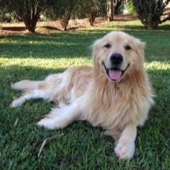 I love dogs, pasta with a good wine, and on a good day, humans.