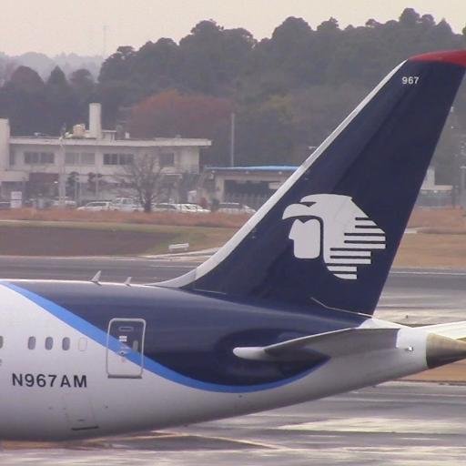 2014/4にアイロメヒコ航空が受領。
モデル Boeing 787-8 Dreamliner
製造番号 35312/163 
メーカー ボーイング