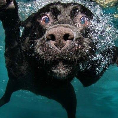 alce0's profile picture. ...