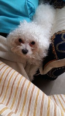 titodiego220320's profile picture. 