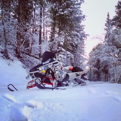 cmb_kuhnert's profile picture. I'm Cole Michael Bernard Kuhnert. I like golf.