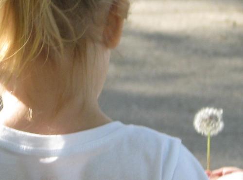 loedown's profile picture. Busy mom of two.