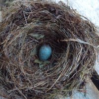 John Higham (@johnoft) 's Twitter Profile