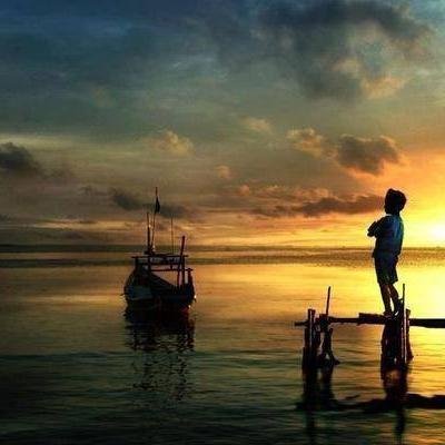 hanyfox135's profile picture. 