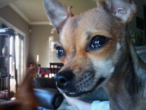 durtybird's profile picture. 