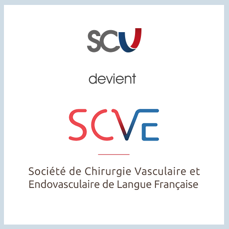 Chirurgie Vasculaire Profile