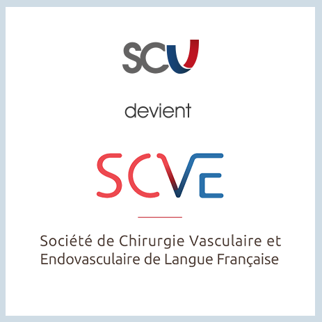 Société de Chirurgie Vasculaire et Endovasculaire de langue française.  #santé #chirurgie #vasculaire #endovasculaire
French society for #vascular #surgery