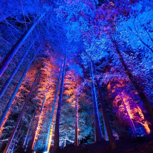 Bringing A Midsummer Nights Dream to Brixton THIS May 2nd-5th 2016. Directed by @matpherson Produced by @Amy_Ambrose