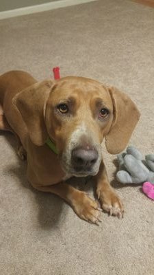 NMKBMS's profile picture. Educator, traveler, and lover of life!