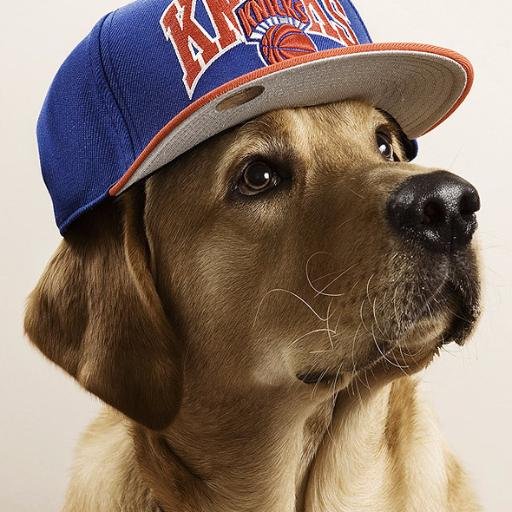 LouieMaxs's profile picture. LOUIE MAX The Kings of Custom Imprinting. 
Team Uniforms, Awards and Plaques, Bar/Bat Mitzvah Favors. Award winning Silkscreening and Laser Engraving. Est.1996