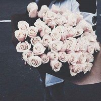 سلمَي♌ (@solmatarek) 's Twitter Profile