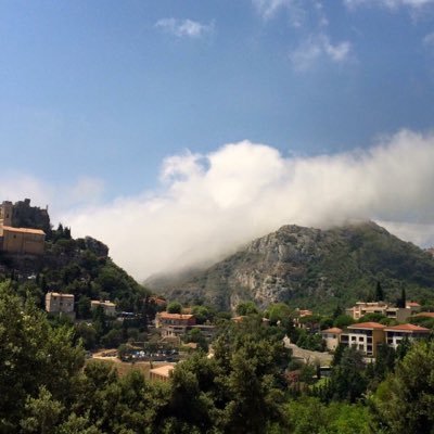 dailythoughts_9's profile picture. 