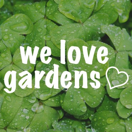 Send us your garden photos to be featured! welovegardens9@gmail.com