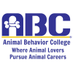 ABCMilitaryPGRM (@abcmilitary) Twitter profile photo ABCMilitaryPGRM (@abcmilitary) Twitter profile photo
