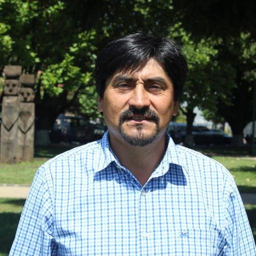 Profesor de Historia y Geografía. Consejero Nacional ante Conadi 2016 - 2020.