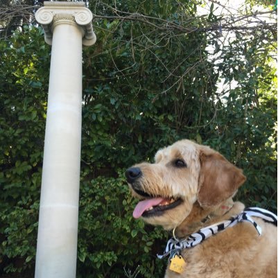 Dajackson13's profile picture. 