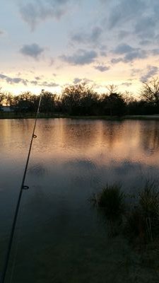 amber_friedrich's profile picture. 