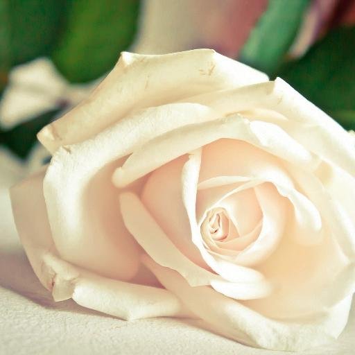 twana7541's profile picture. 髪色暗くした♡♪♫♩♬ゆっくり半身浴がしあわせなひととき♪♪