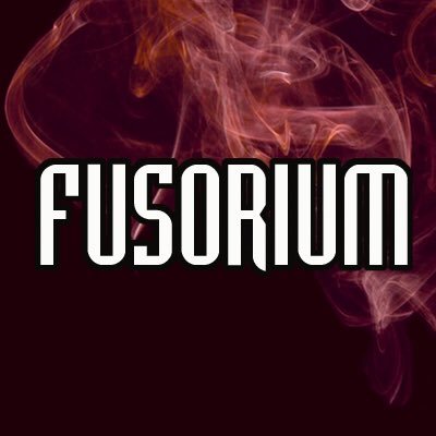 Destiny Streamer | Music Fanatic | Outdoor Lover | Just here to make people laugh. Follow my stream for updates https://t.co/hJ6YHXFXS7