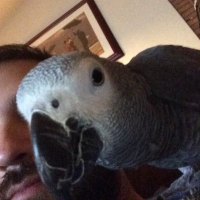 ClayLamm's profile picture. 