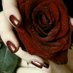 ورد جوري (@2sweetheart2020) Twitter profile photo ورد جوري (@2sweetheart2020) Twitter profile photo